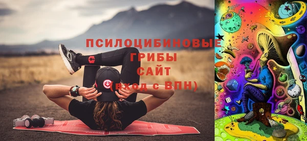 спиды Алексеевка
