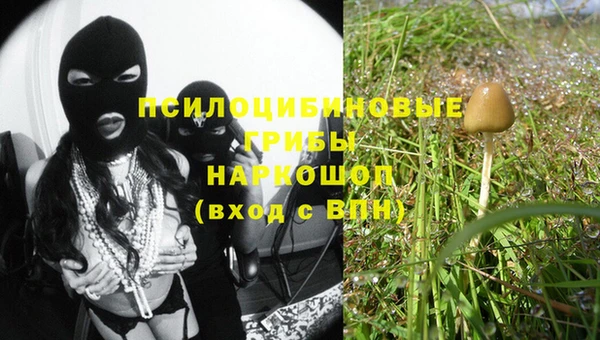 спиды Алексеевка
