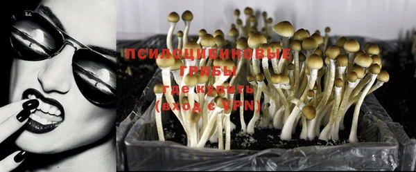 спиды Алексеевка