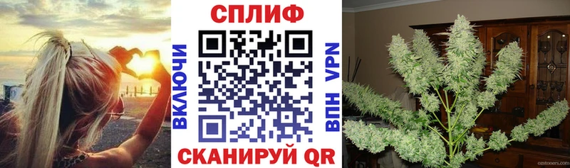 Каннабис семена  Кукмор 